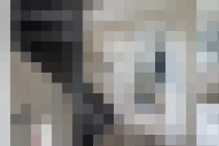 Wiekenas 19 Smilde thumbnail 29