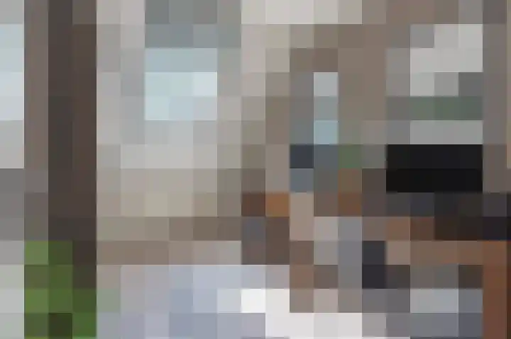 Wiekenas 19 Smilde thumbnail 31