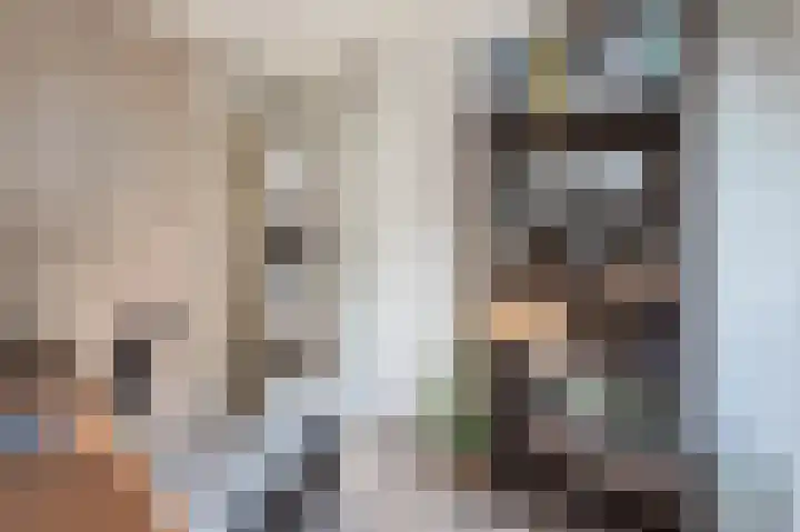 Wiekenas 19 Smilde thumbnail 32