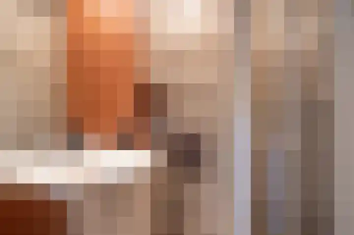 Wiekenas 19 Smilde thumbnail 33