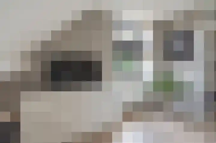 Wiekenas 19 Smilde thumbnail 39