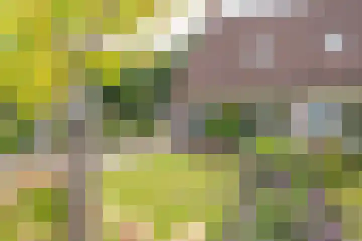 Wiekenas 19 Smilde thumbnail 4