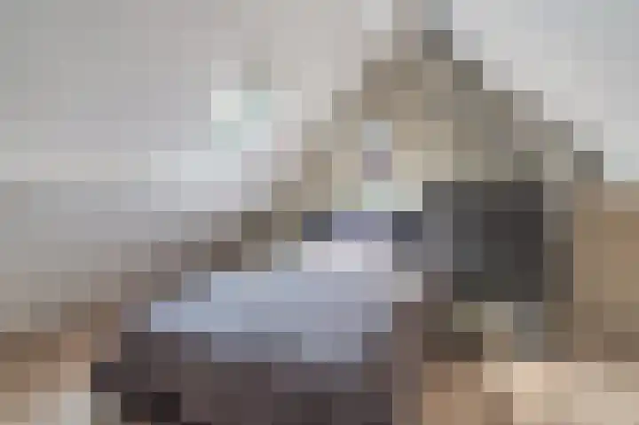 Wiekenas 19 Smilde thumbnail 41