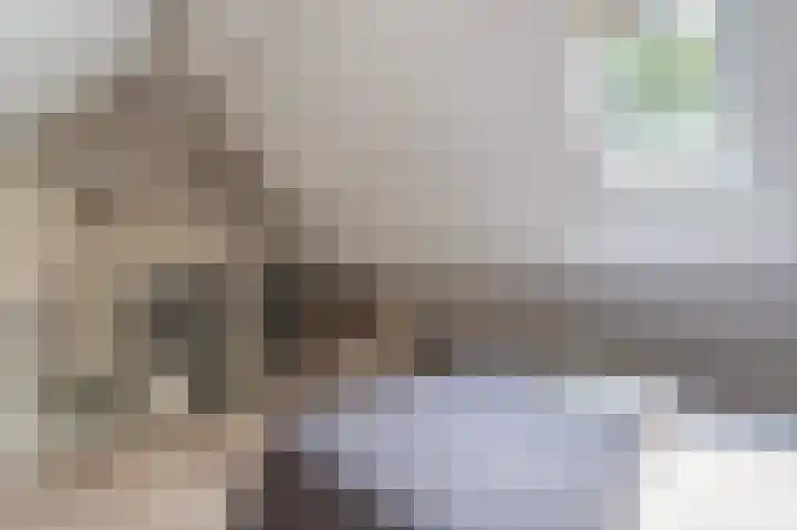 Wiekenas 19 Smilde thumbnail 42