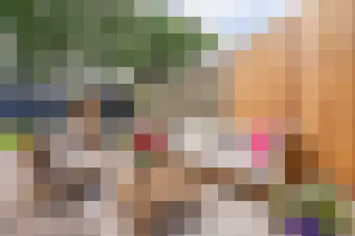 Wiekenas 19 Smilde thumbnail 43