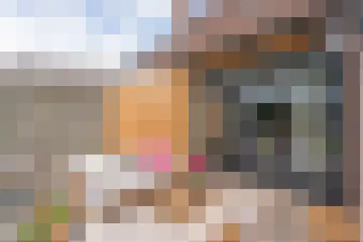 Wiekenas 19 Smilde thumbnail 44