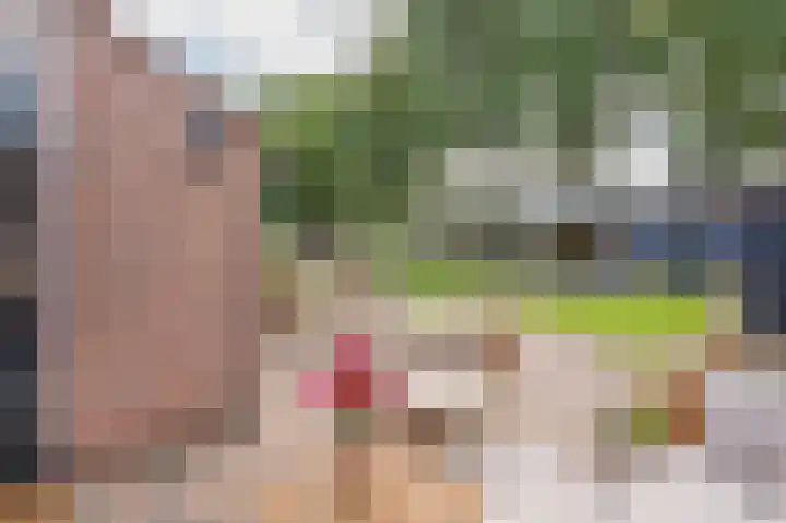 Wiekenas 19 Smilde thumbnail 45