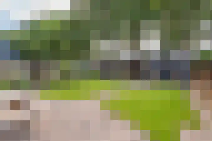 Wiekenas 19 Smilde thumbnail 46