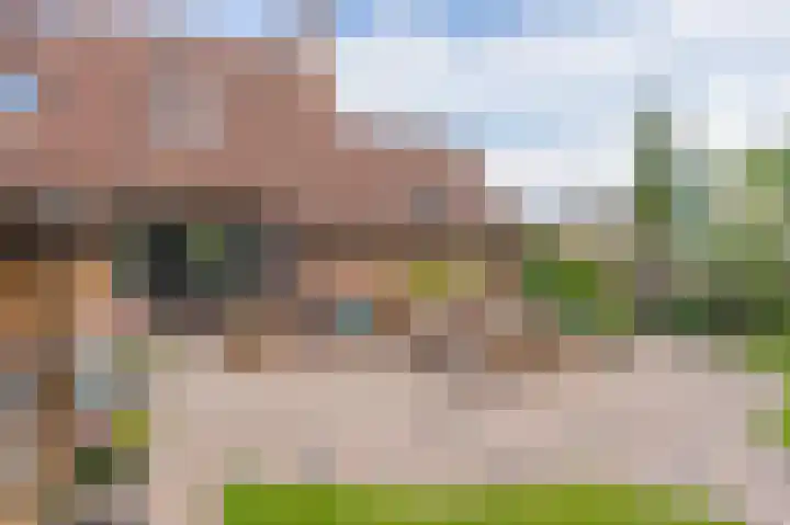 Wiekenas 19 Smilde thumbnail 47