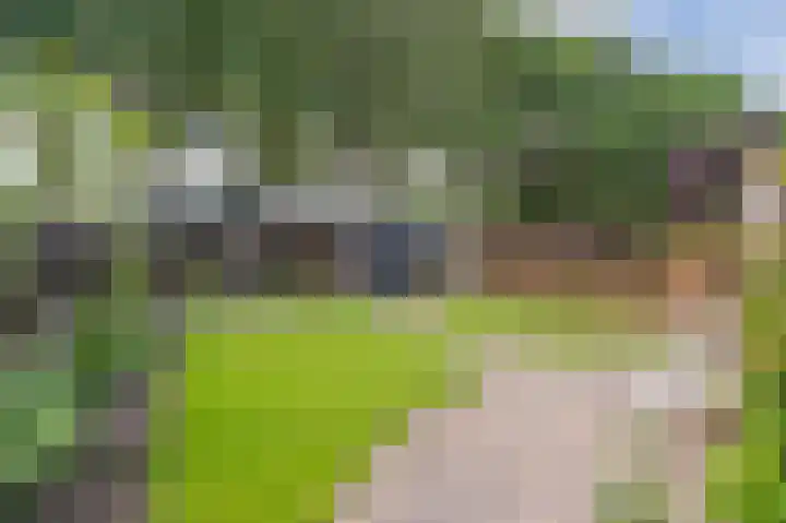 Wiekenas 19 Smilde thumbnail 49