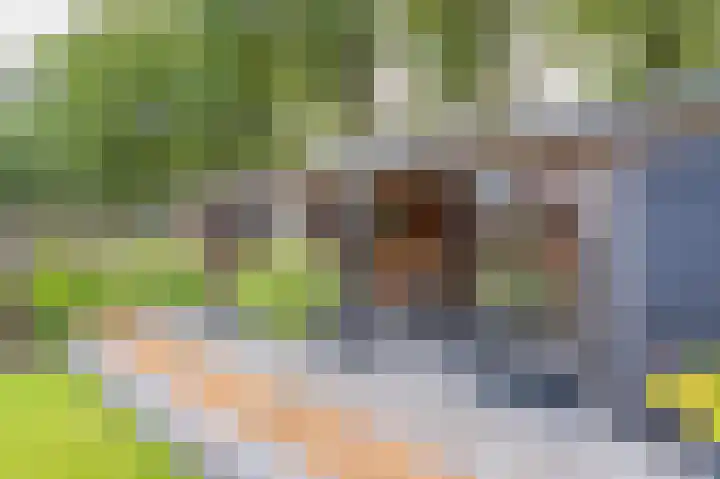 Wiekenas 19 Smilde thumbnail 50