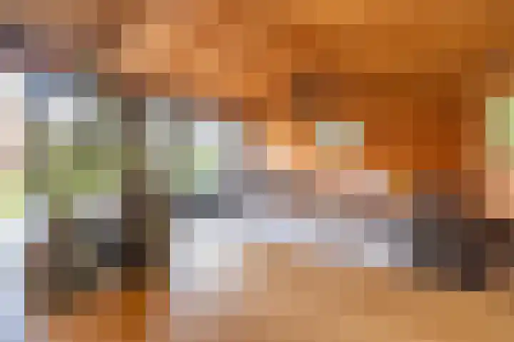 Wiekenas 19 Smilde thumbnail 55