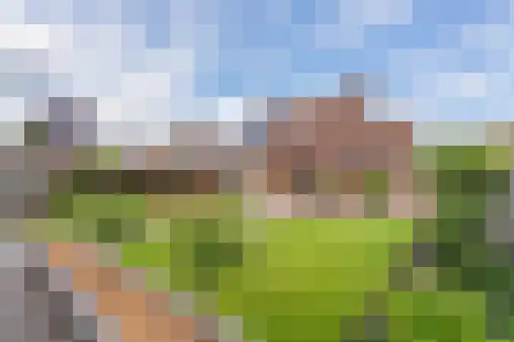 Wiekenas 19 Smilde thumbnail 58