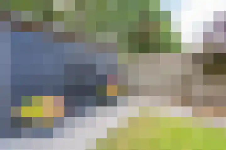 Wiekenas 19 Smilde thumbnail 59