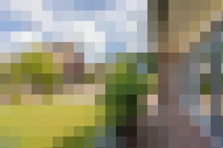Wiekenas 19 Smilde thumbnail 6