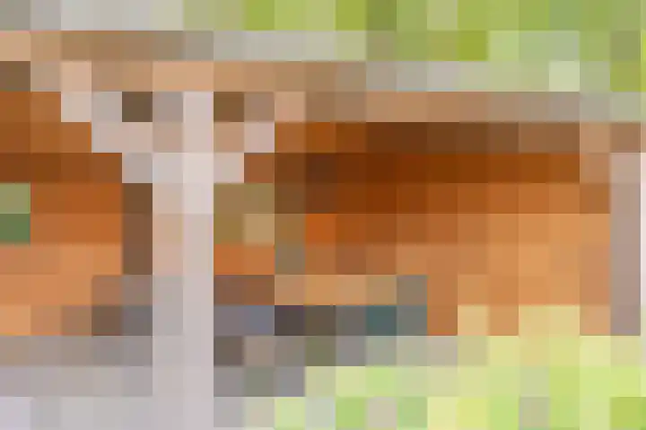 Wiekenas 19 Smilde thumbnail 61