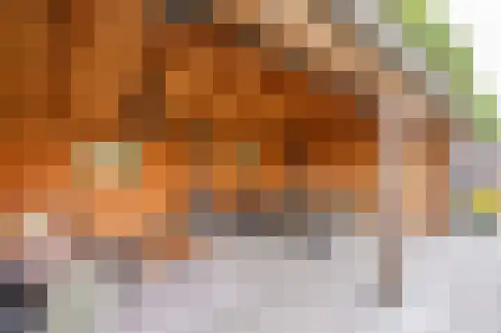 Wiekenas 19 Smilde thumbnail 63