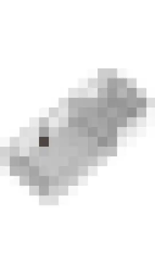 Wiekenas 19 Smilde thumbnail 69