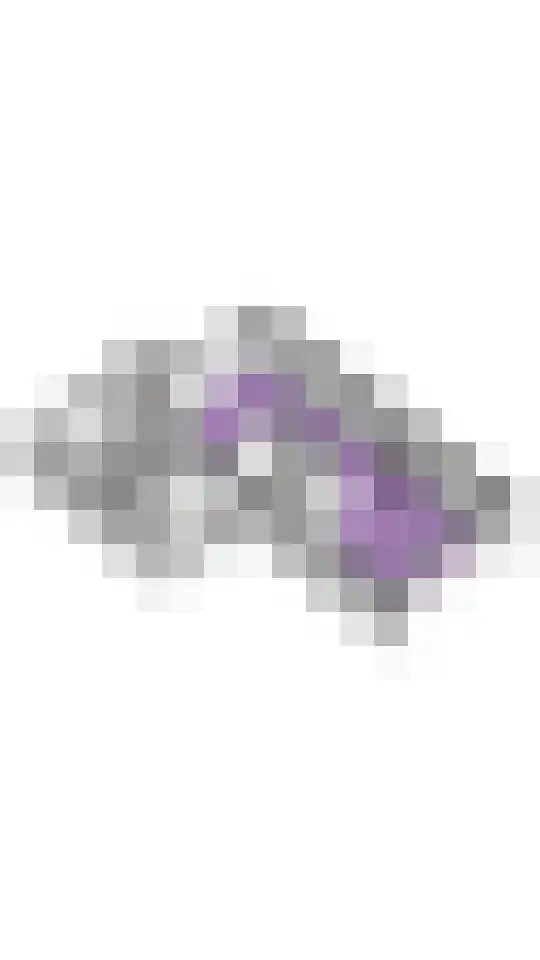 Wiekenas 19 Smilde thumbnail 71