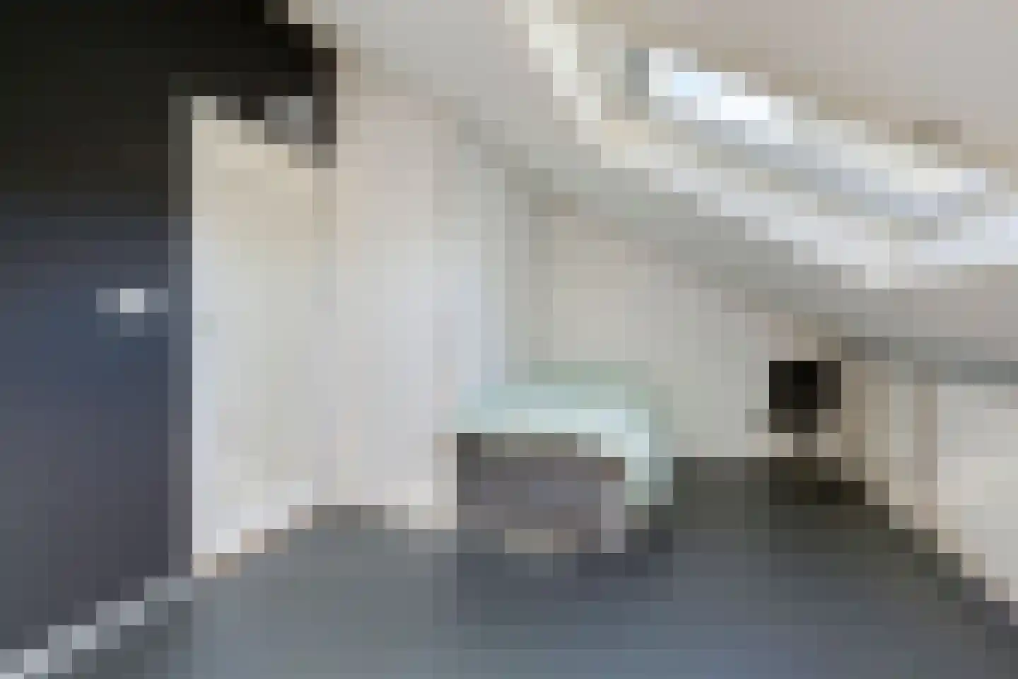 Wiekenas 40 Smilde thumbnail 25