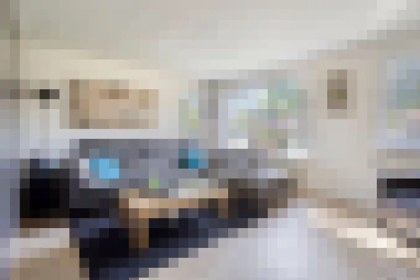 Wiekenas 40 Smilde thumbnail 4