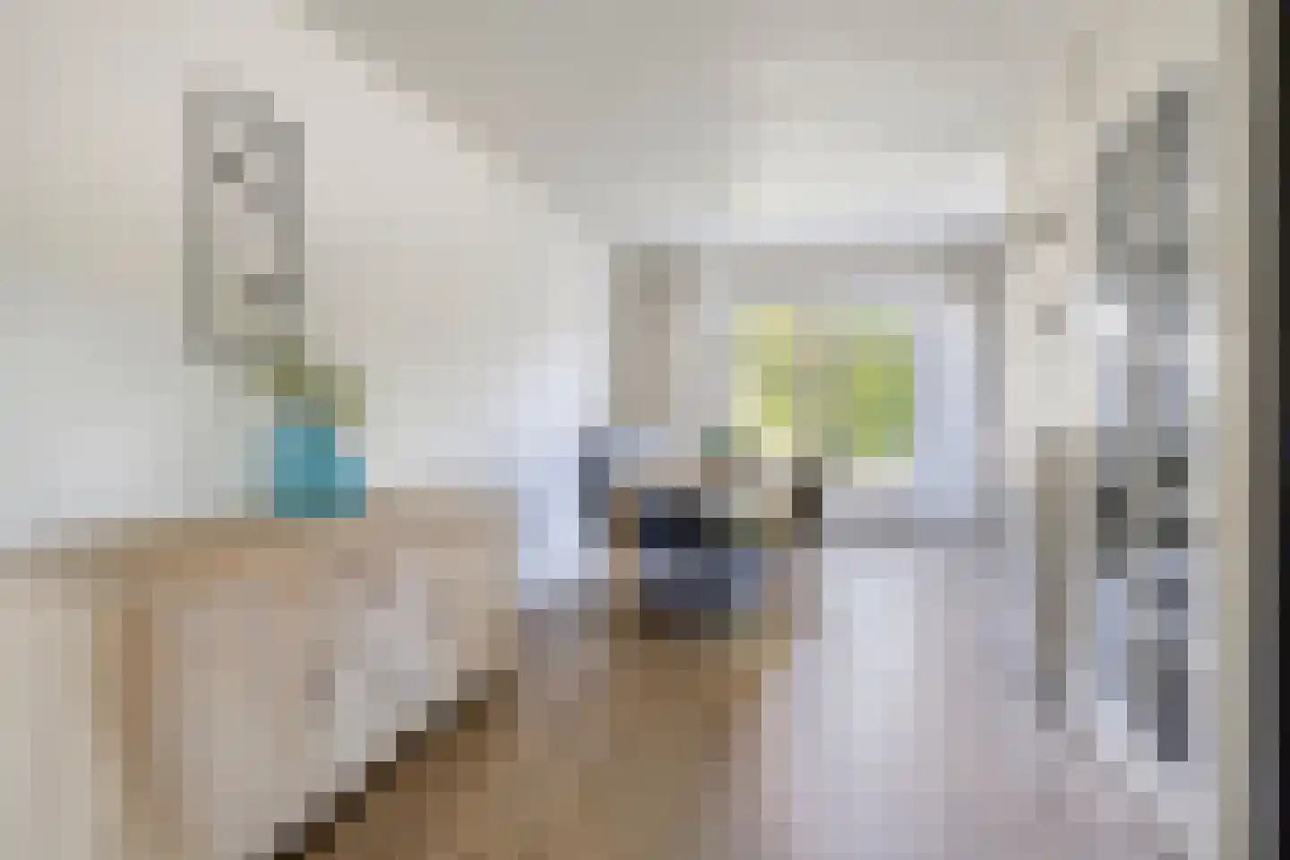 Wiekenas 40 Smilde thumbnail 7