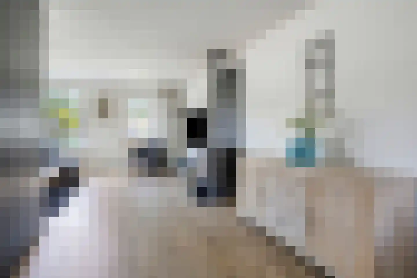 Wiekenas 40 Smilde thumbnail 8