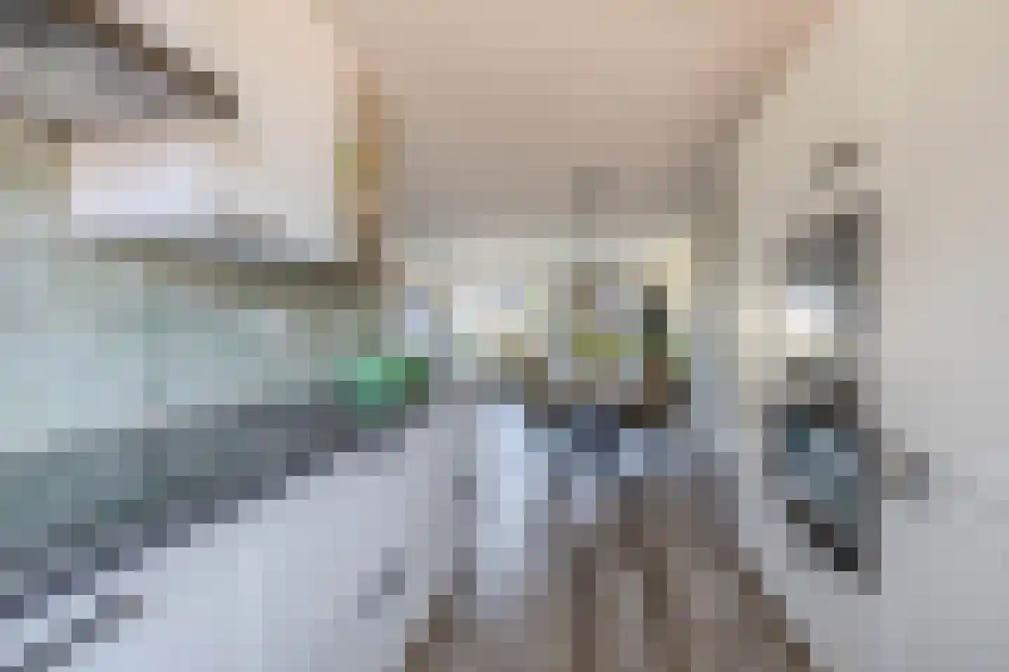 Wiekenas 5 Oude-Tonge thumbnail 14