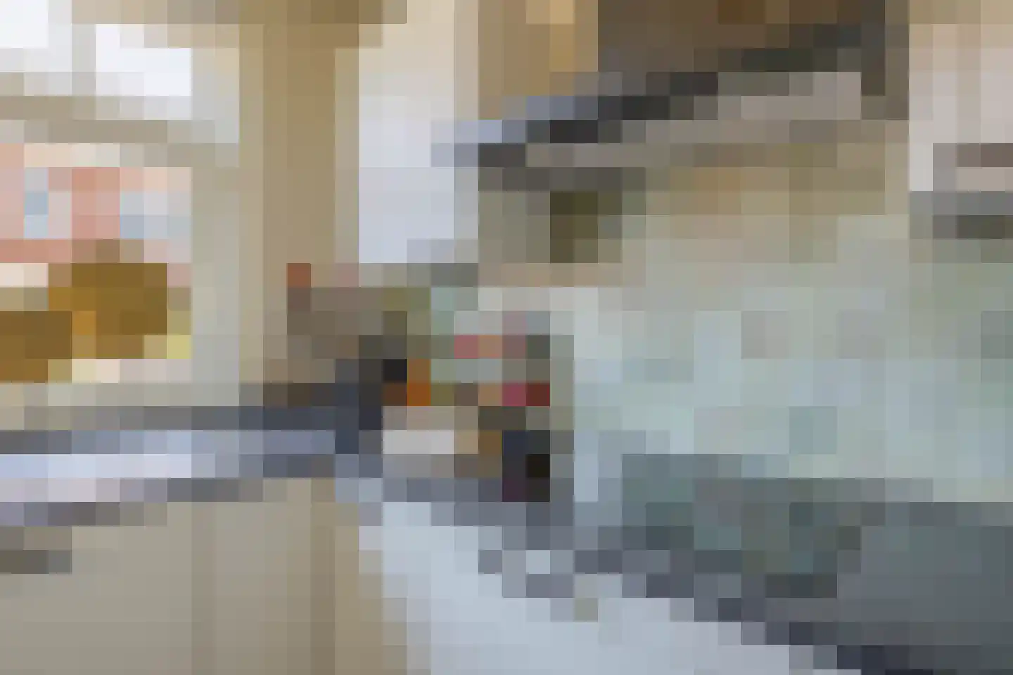 Wiekenas 5 Oude-Tonge thumbnail 15