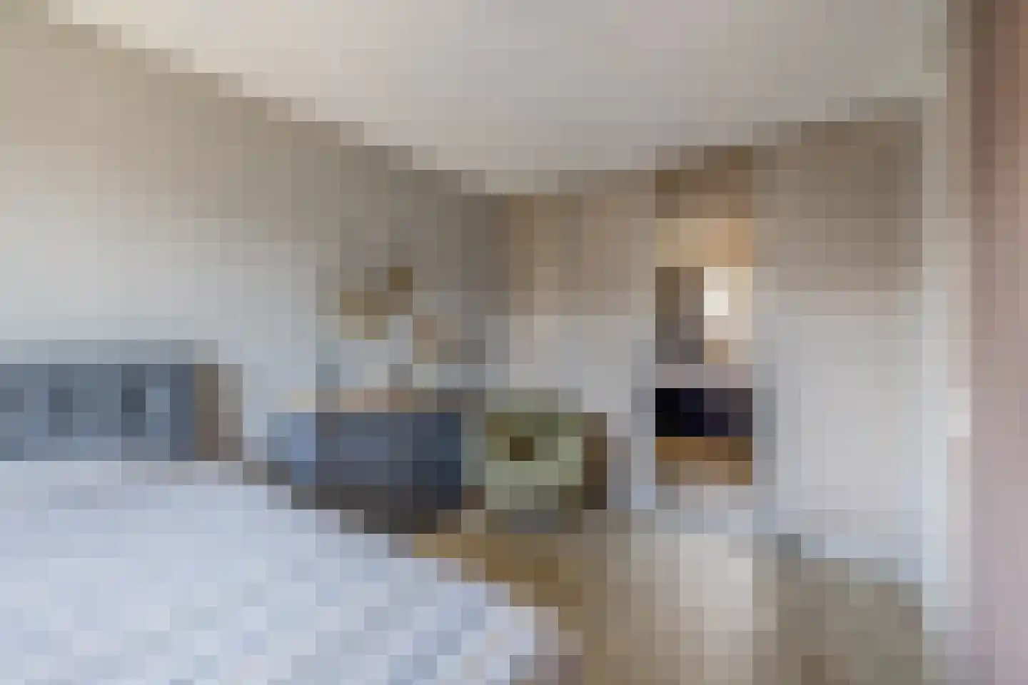 Wiekenas 5 Oude-Tonge thumbnail 19