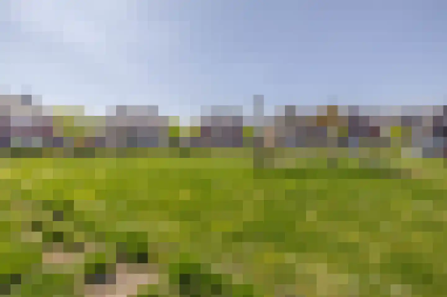 Wiekenas 5 Oude-Tonge thumbnail 35