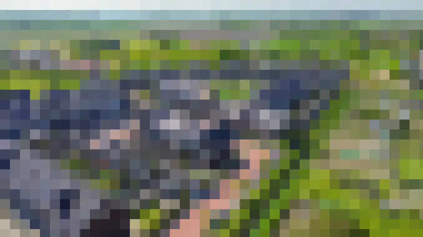Wiekenas 5 Oude-Tonge thumbnail 38