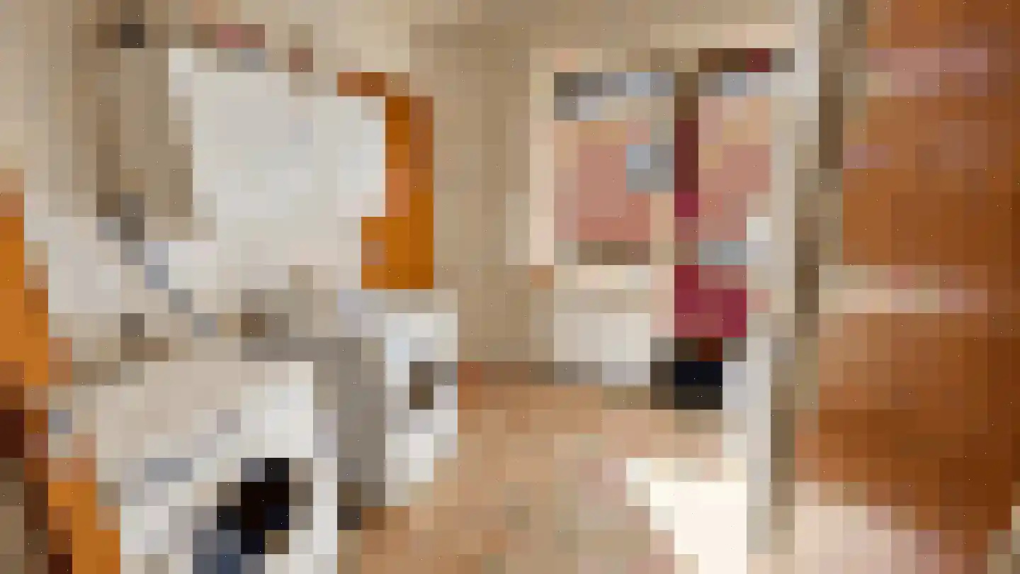 Wiekenas 67 Smilde thumbnail 13