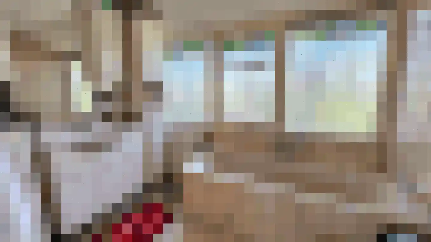 Wiekenas 67 Smilde thumbnail 17
