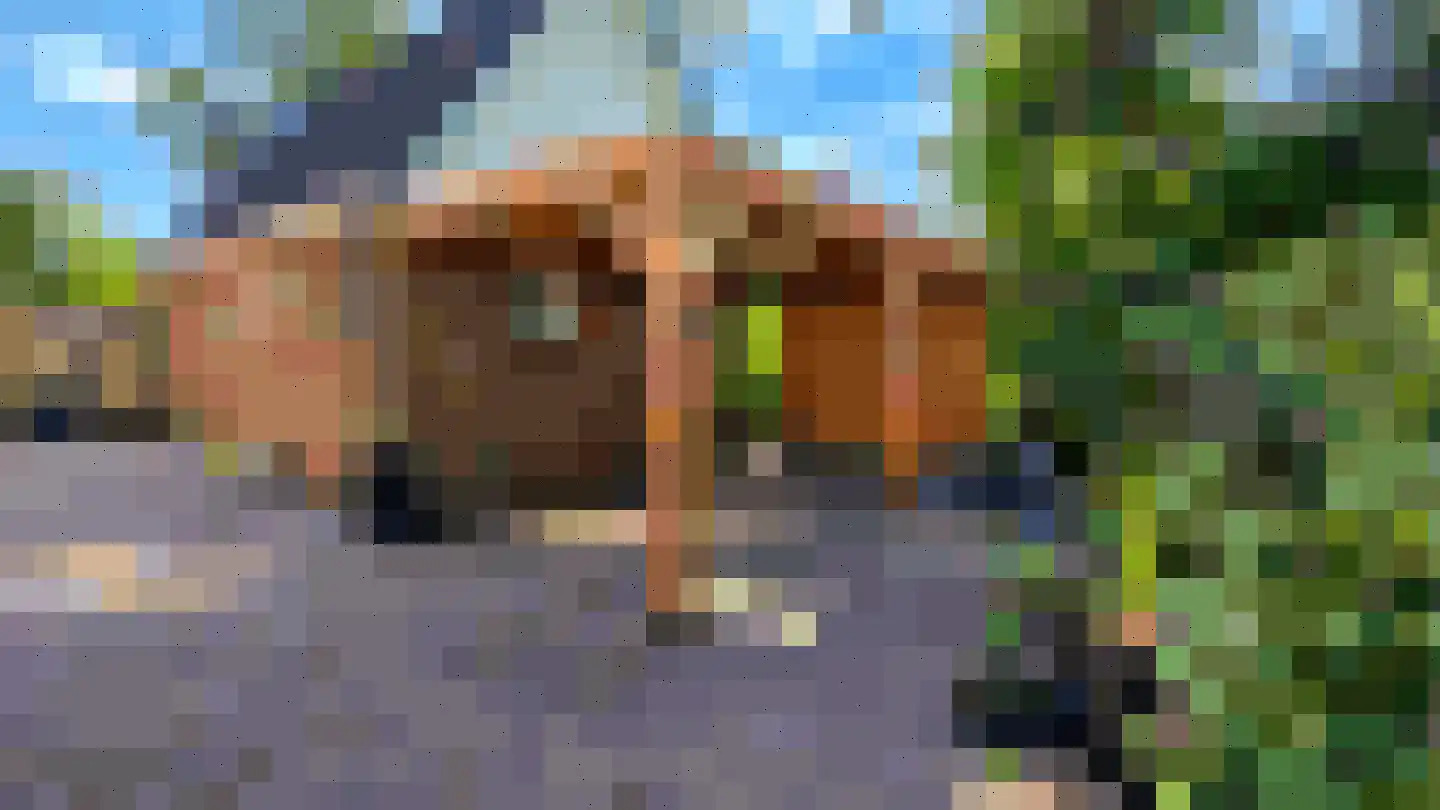 Wiekenas 67 Smilde thumbnail 23