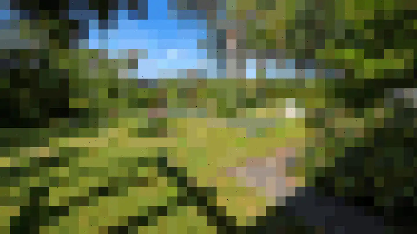 Wiekenas 67 Smilde thumbnail 4