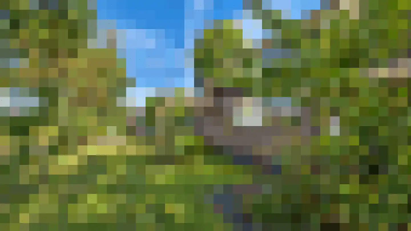 Wiekenas 67 Smilde thumbnail 5