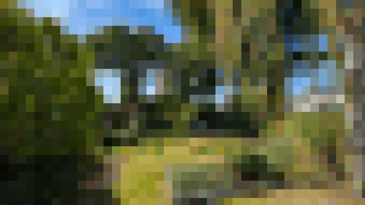Wiekenas 67 Smilde thumbnail 6