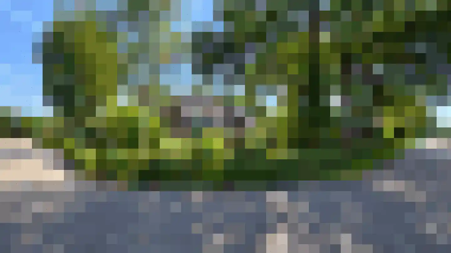 Wiekenas 67 Smilde thumbnail 8