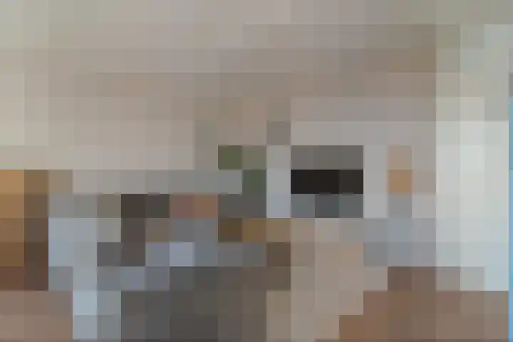 Wiekenhof 14 Monster thumbnail 12