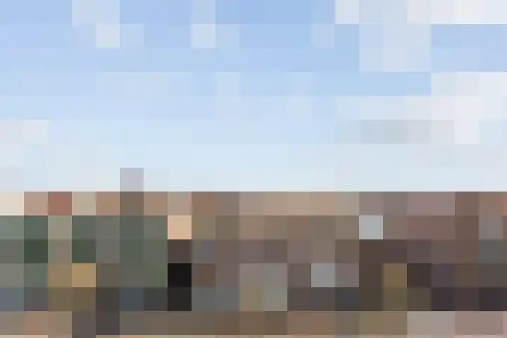 Wiekenhof 14 Monster thumbnail 18