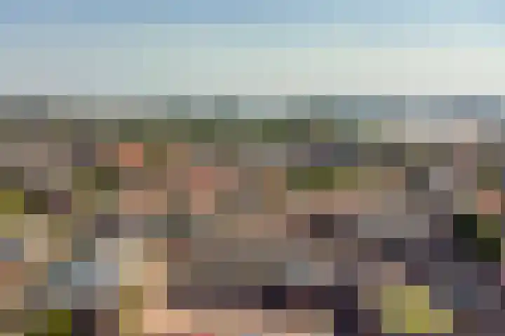 Wiekenhof 15 Monster thumbnail 18