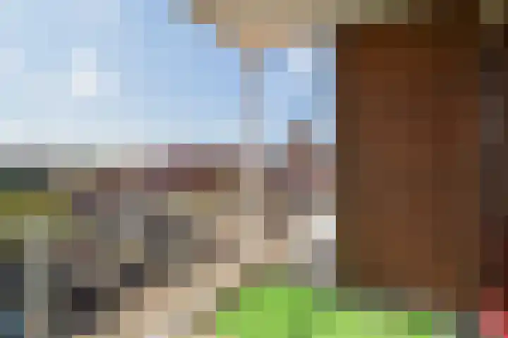 Wiekenhof 6 Monster thumbnail 21