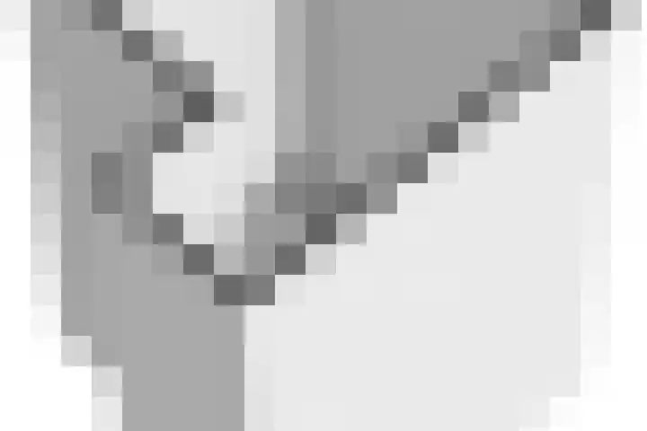 Wiekenhof 6 Monster thumbnail 37