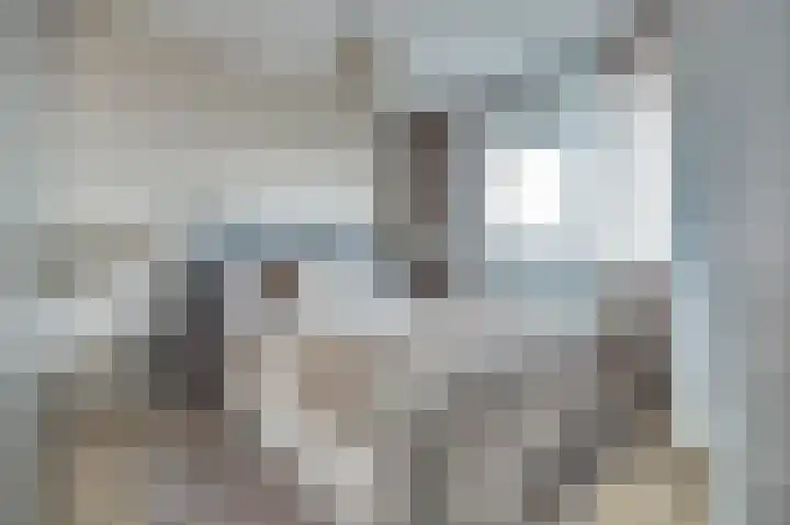 Wiekenhof 7 Monster thumbnail 13