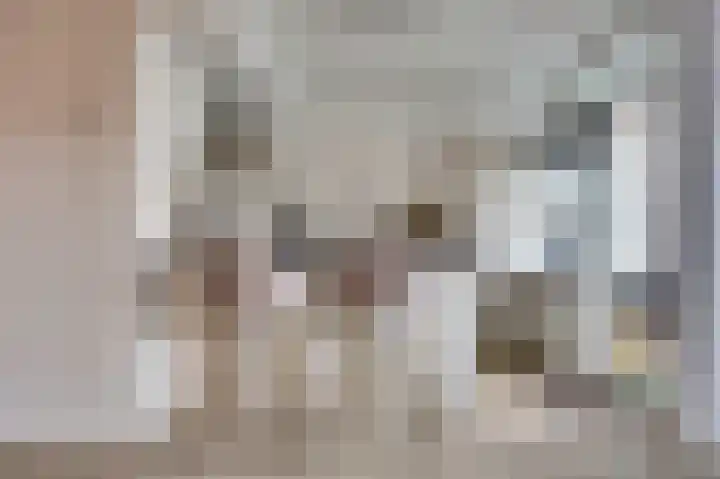 Wiekenhof 7 Monster thumbnail 6