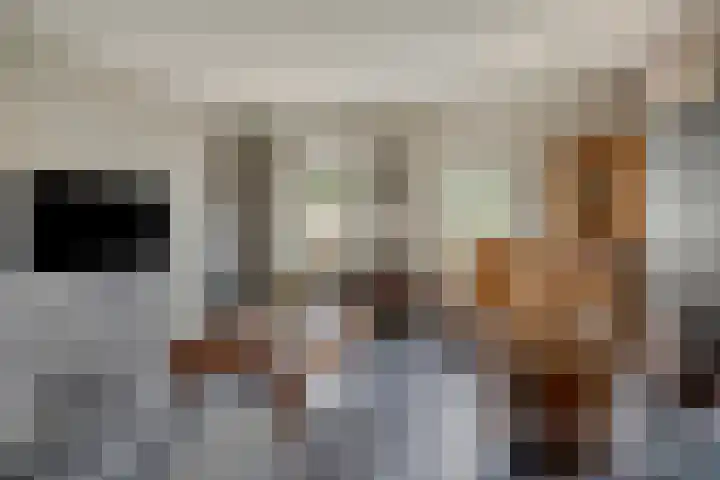 Wiekenkruis 25 Halsteren thumbnail 10