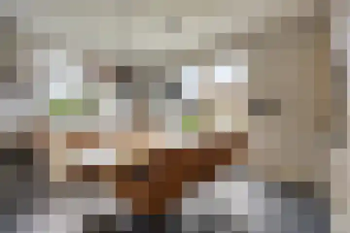 Wiekenkruis 25 Halsteren thumbnail 11