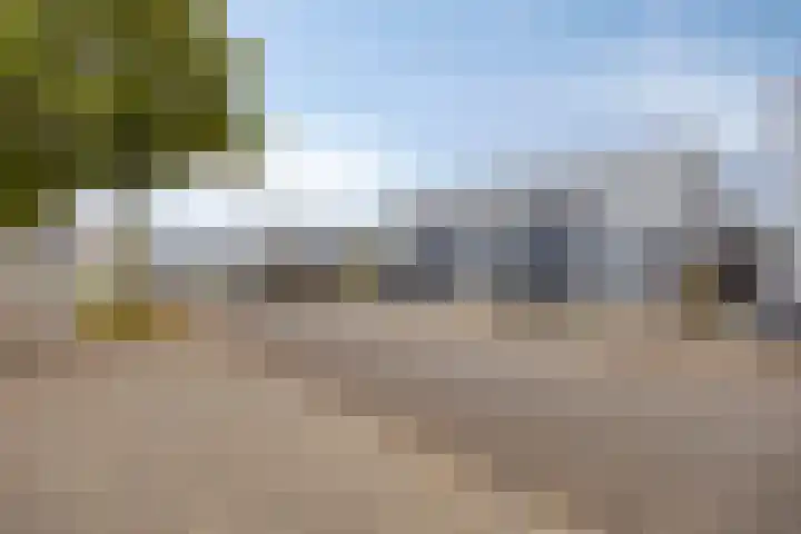 Wiekenkruis 25 Halsteren thumbnail 31