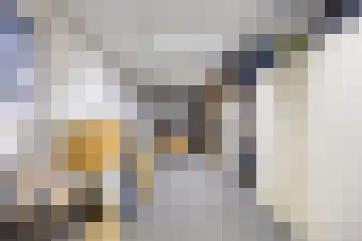 Wiekenkruis 25 Halsteren thumbnail 35